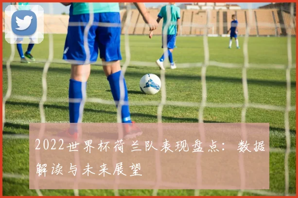 2022世界杯荷兰队表现盘点：数据解读与未来展望
