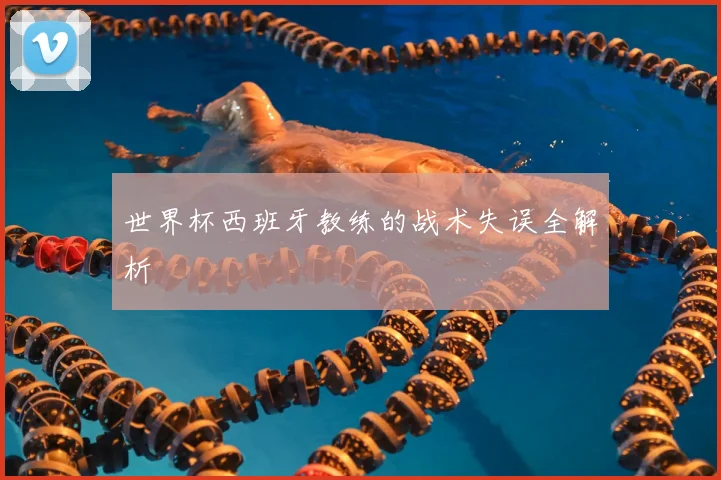 世界杯西班牙教练的战术失误全解析