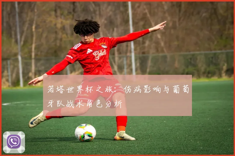 若塔世界杯之旅：伤病影响与葡萄牙队战术角色分析