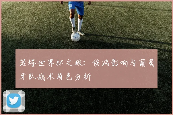 若塔世界杯之旅：伤病影响与葡萄牙队战术角色分析