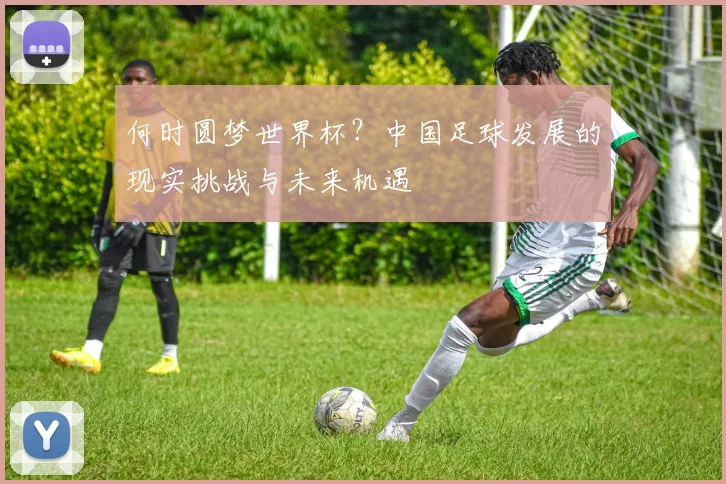 何时圆梦世界杯？中国足球发展的现实挑战与未来机遇