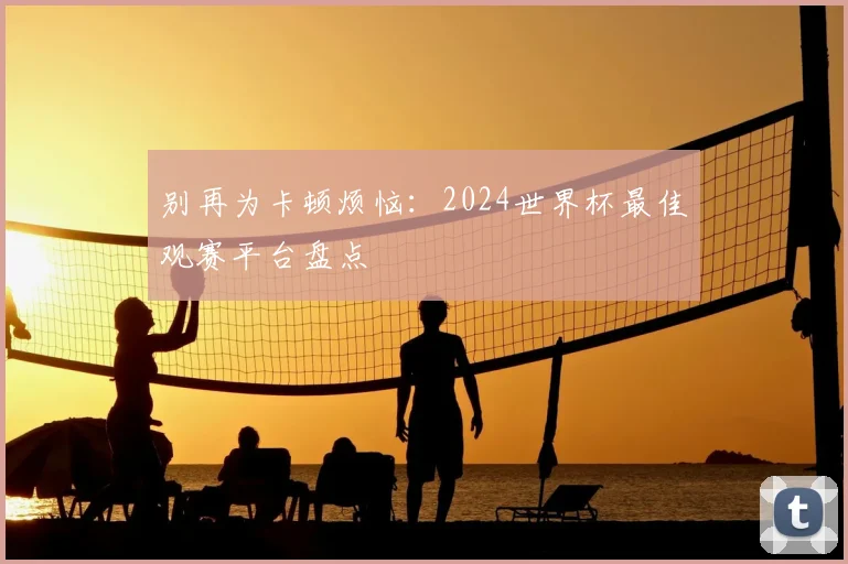 别再为卡顿烦恼：2024世界杯最佳观赛平台盘点