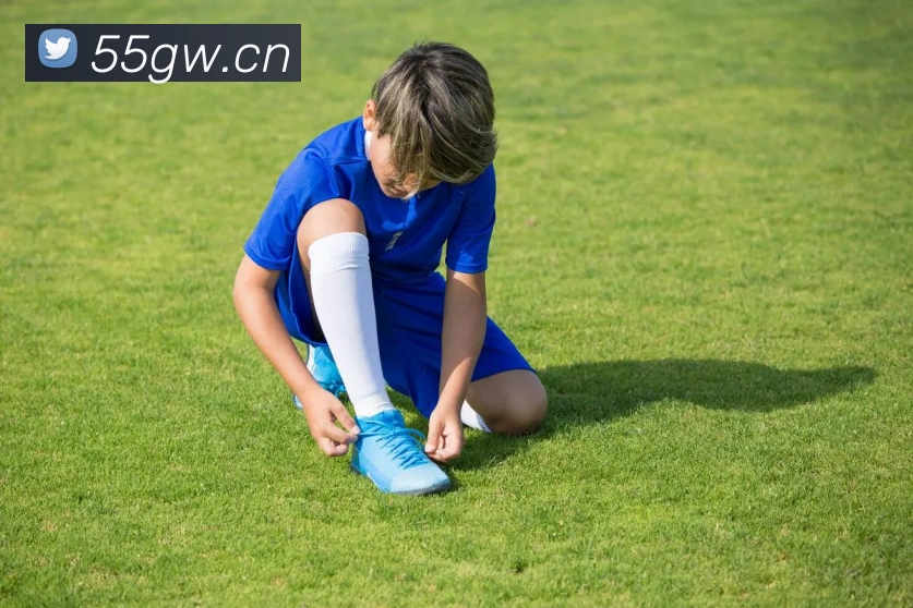 九游j9官网首页入口APP 封面图